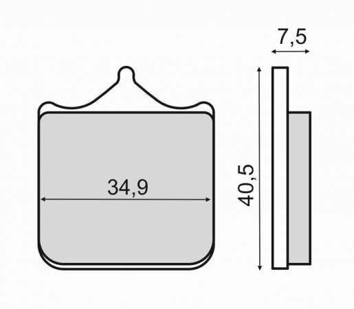 Disk pločice RMS 225102860 organic